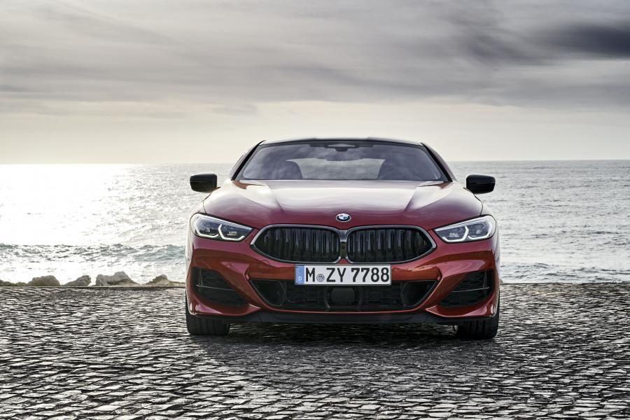  BMW M850i xDrive Carbon Package (G15) 2018 года  (WW) (фото 220 из 287)